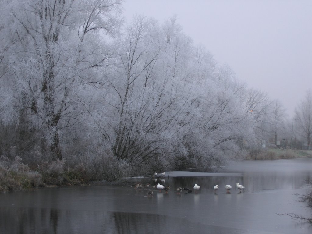 Winters Naarden aan de Amsterdamsestraatweg Naarden by ABKro