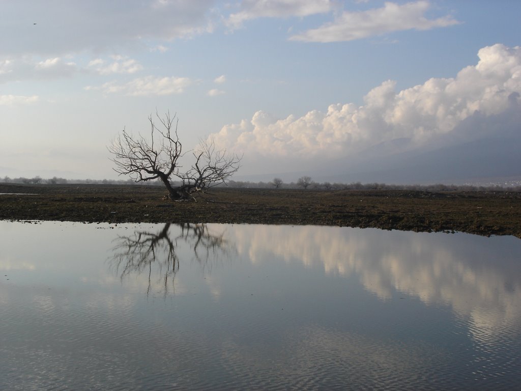 Kerkini Lake by Litsa Andreou