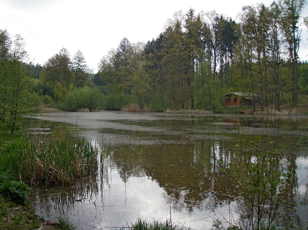 Přírodní park Bobrava,u rybníku Fialská by emigrant