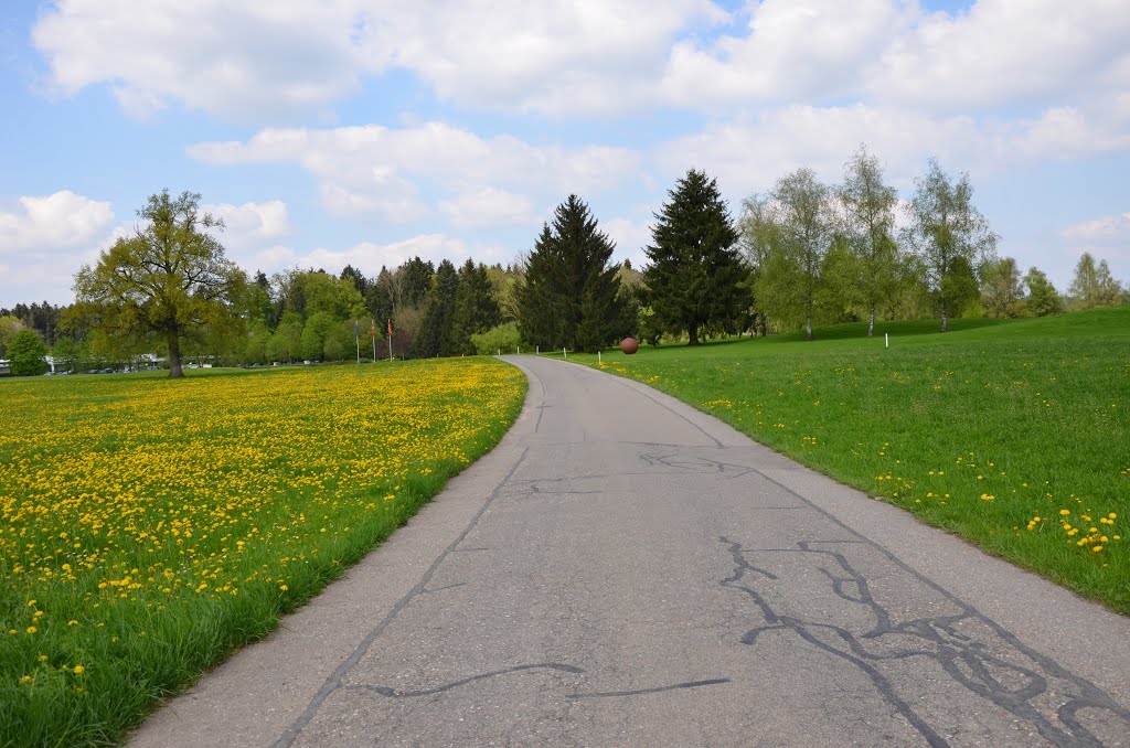 Golfplatz Breitenloo im Frühling by Steven Hoa Chen