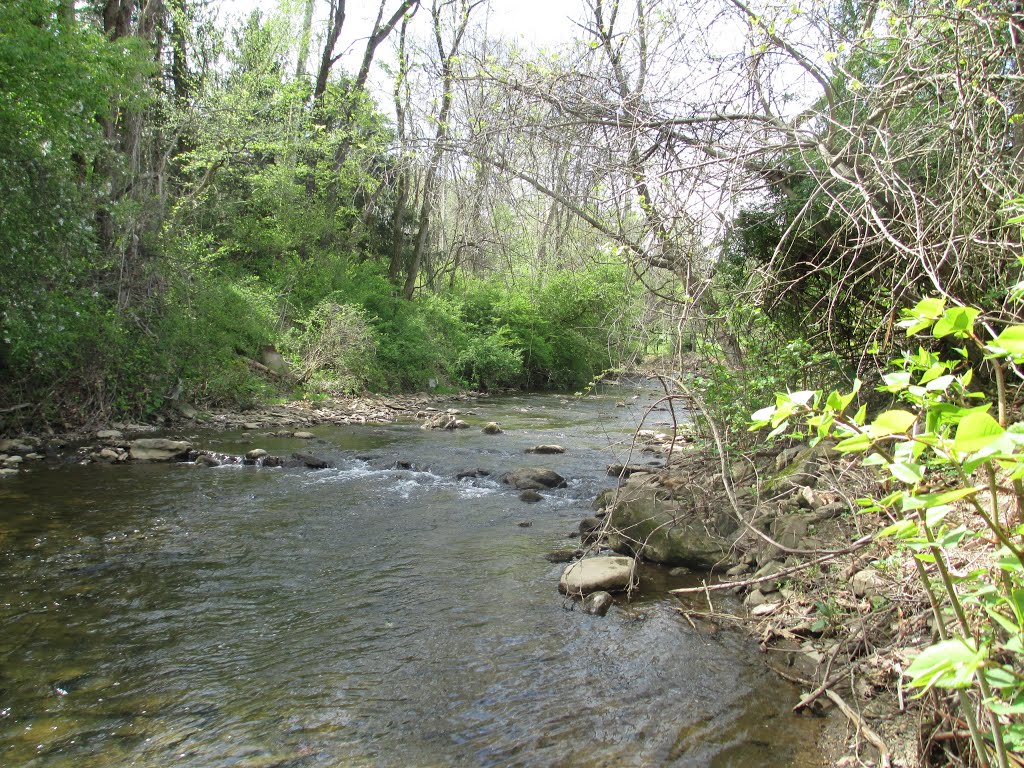 Nine Mile Creek by thewatsons