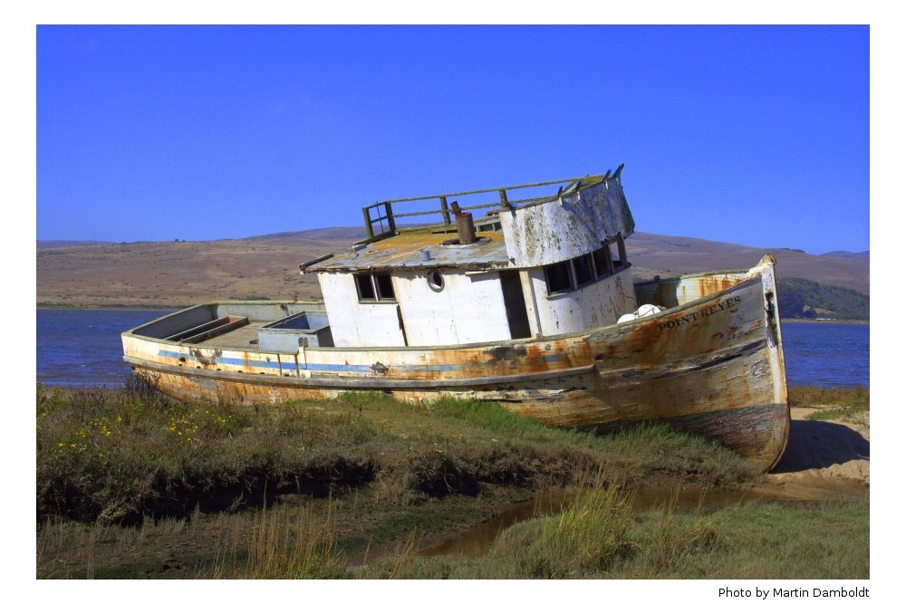 Point Reyes / Inverness by M. Damboldt