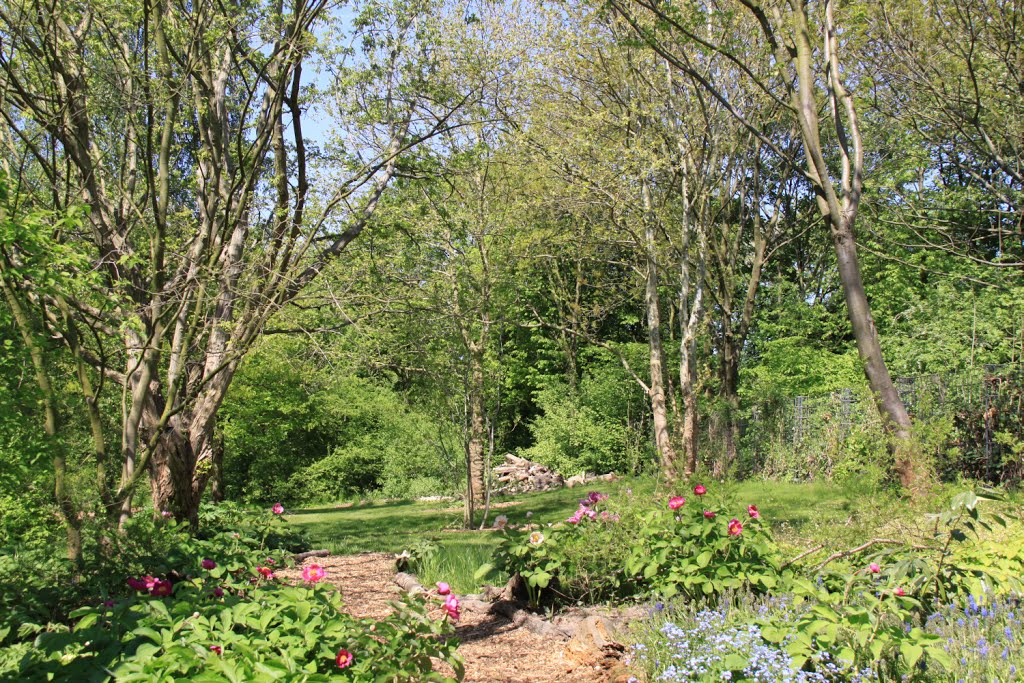 Botanischer Garten, Düsseldorf by Juergen Roesener