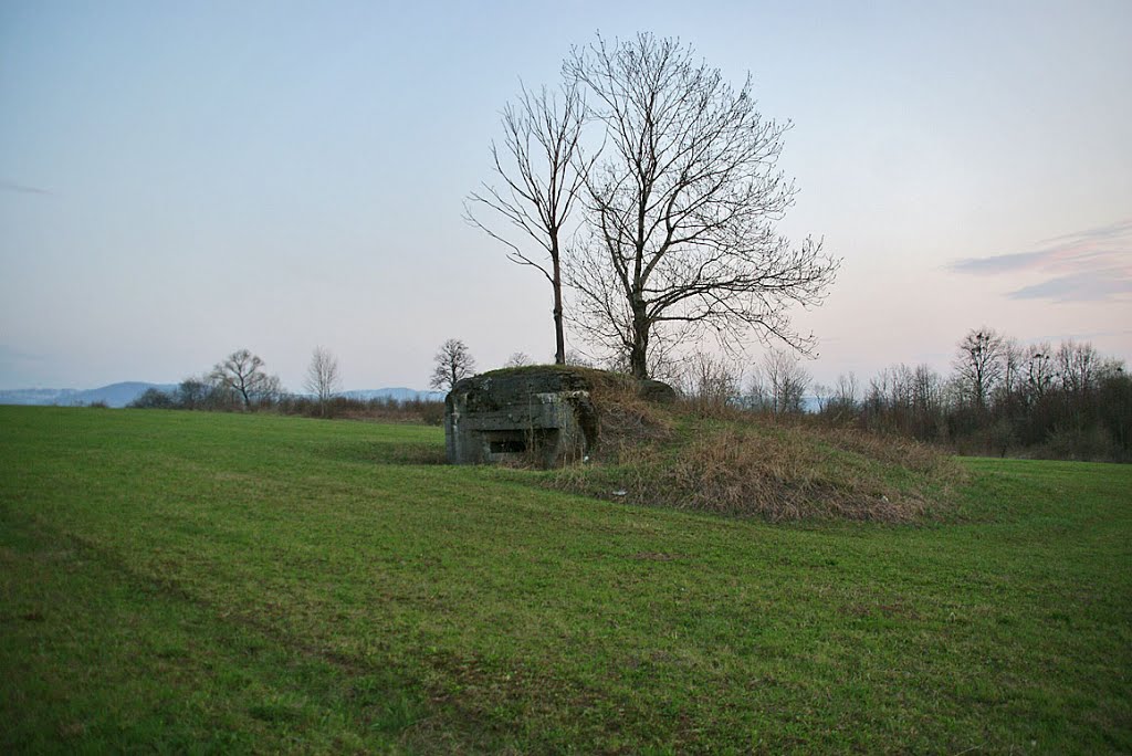 POZYCJA UMOCNIONA BIELSKO-BIAŁA - LEKKI SCHRON PIECHOTY WZ.1939 (URBAN) NR 8 by Łukasz Świetlik