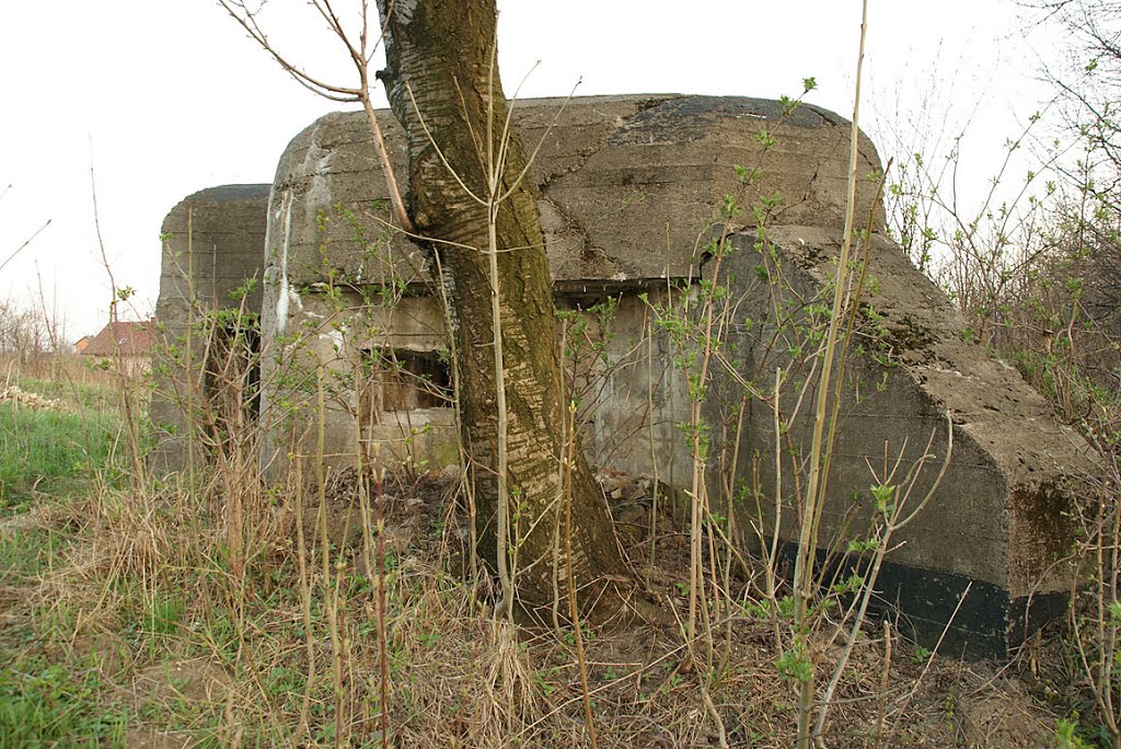 POZYCJA UMOCNIONA BIELSKO-BIAŁA - LEKKI SCHRON PIECHOTY WZ.1939 (URBAN) NR 13 by Łukasz Świetlik