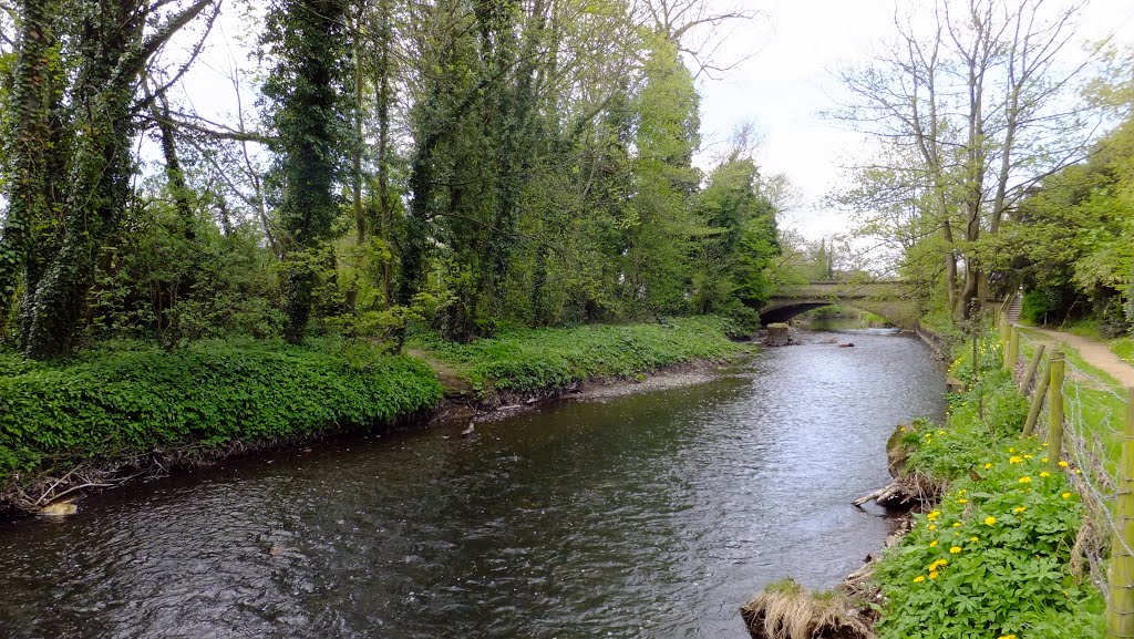 River Alyn by muba