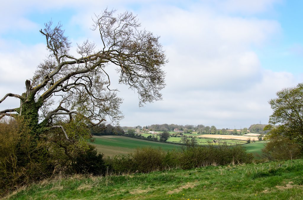 North of Kensworth by John Szmigielski