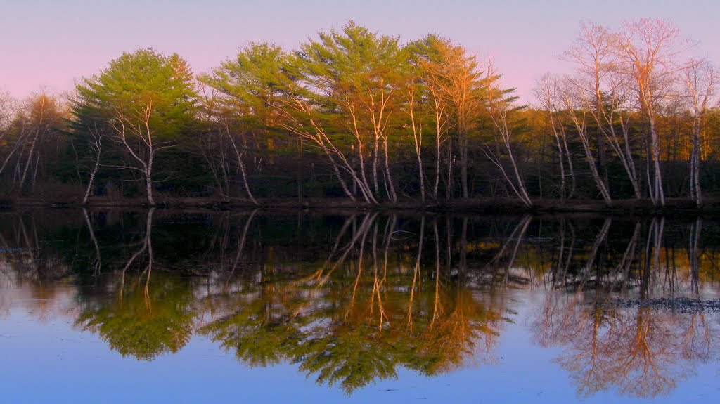 High School Pond, late afternoon, may 3, 2013 by Tom Dudones