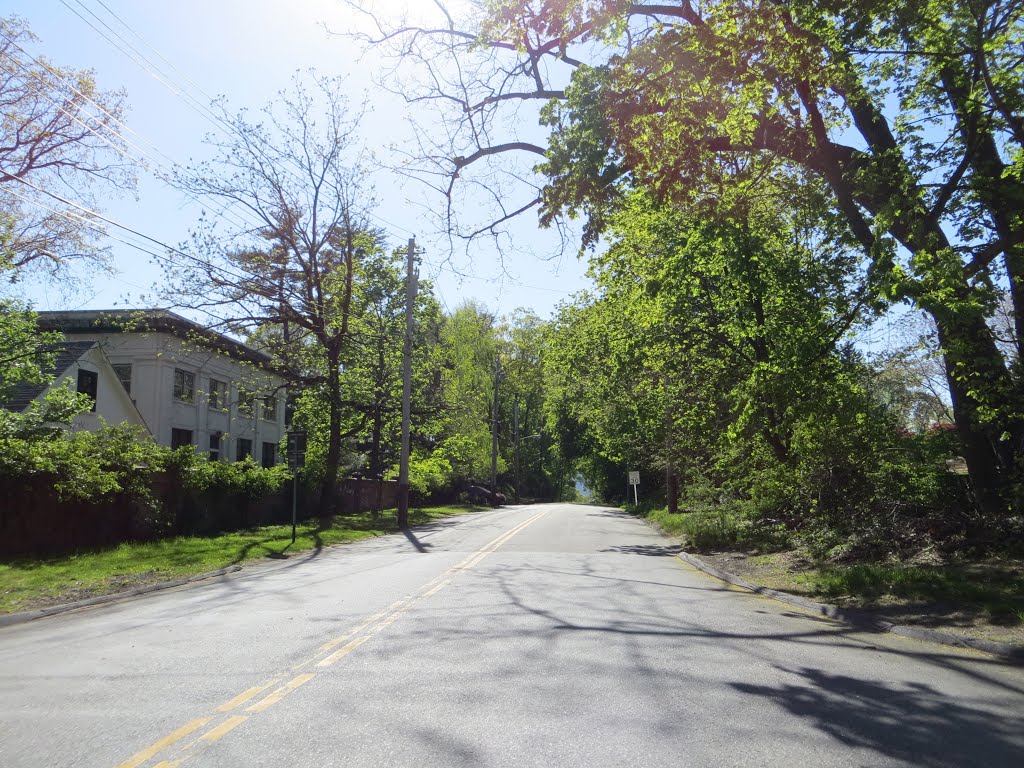 Scarborough Station Road by Adam Elmquist