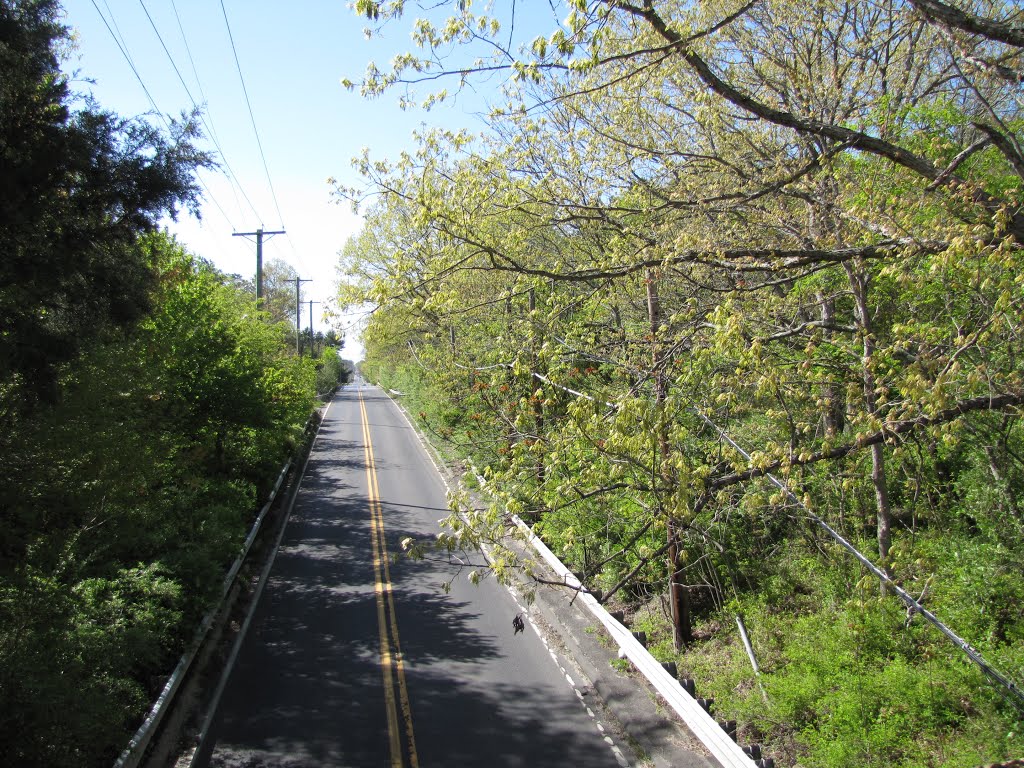 Egg Harbor Road from Beesley Point Secondary RR Bridge by Chris Sanfino