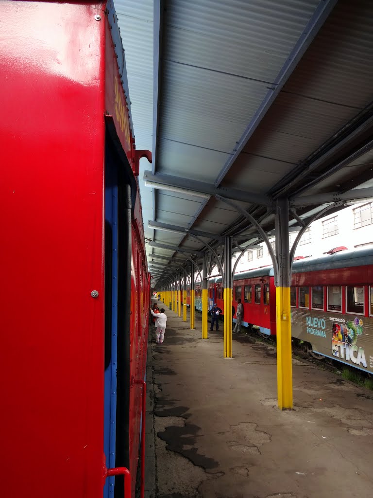 El tren de la Sabana Bogotá by diegofernando