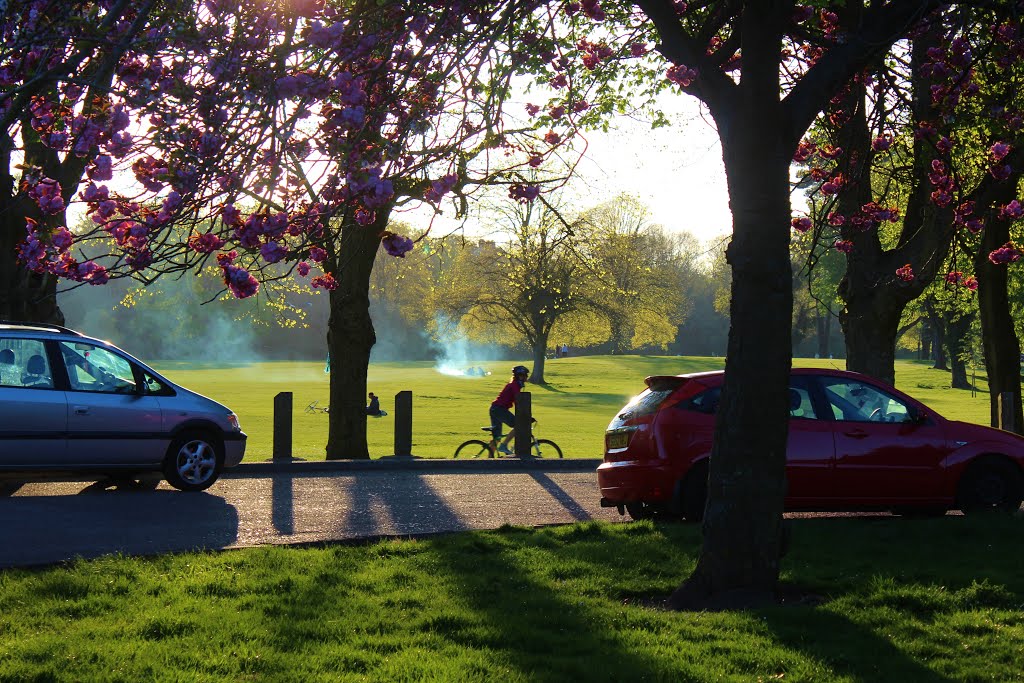 Pontcanna Park* by Graham Willetts