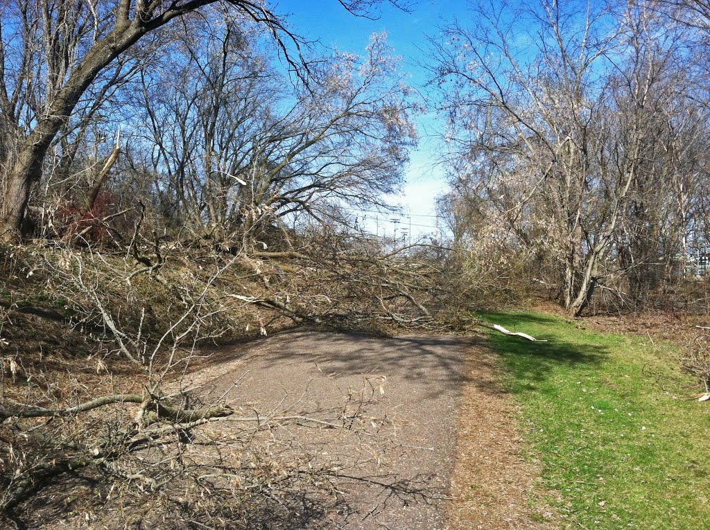 Aftermath of the 5/2/13 Winter Storm by Aaron Carlson