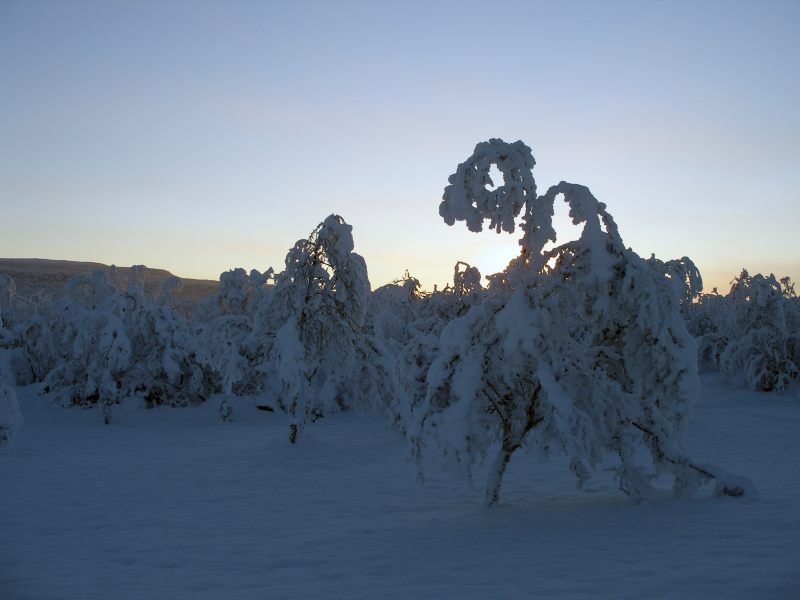 Snow by Frans Eriksen