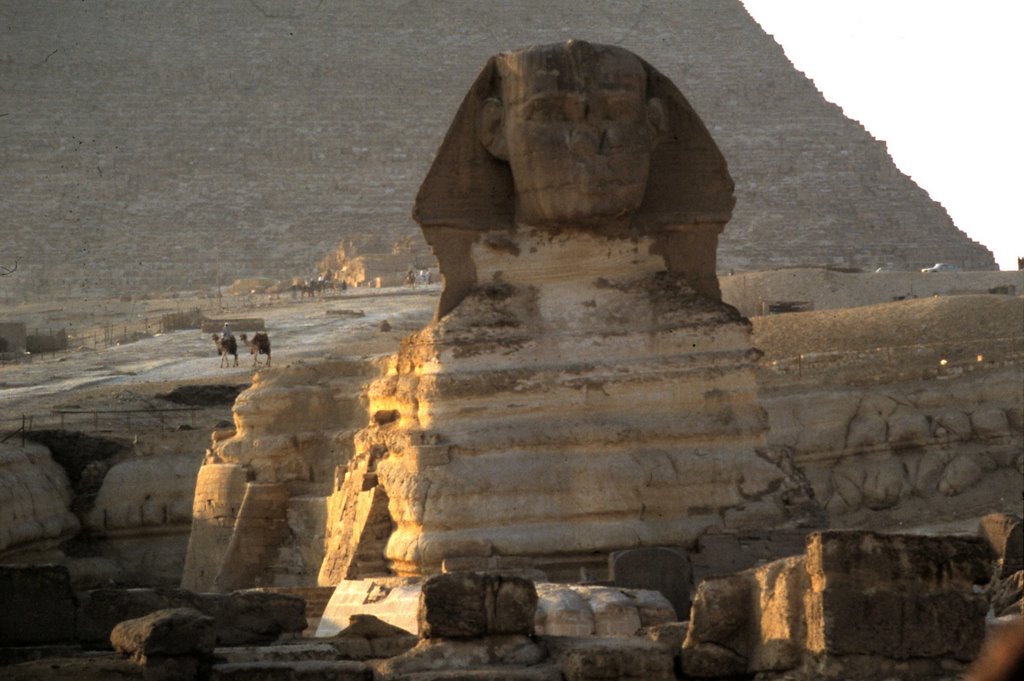 1988 - egypt - sphinx by gbroccardi