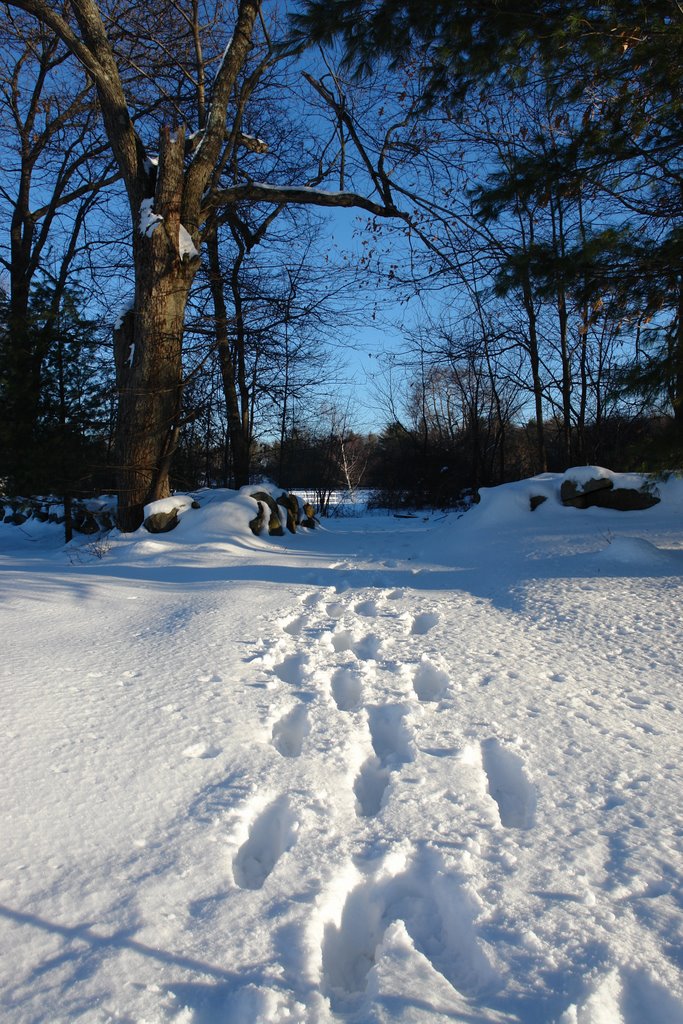 Walking Path covered in snow - Huckins Farm - Bedford, MA by John M Sullivan