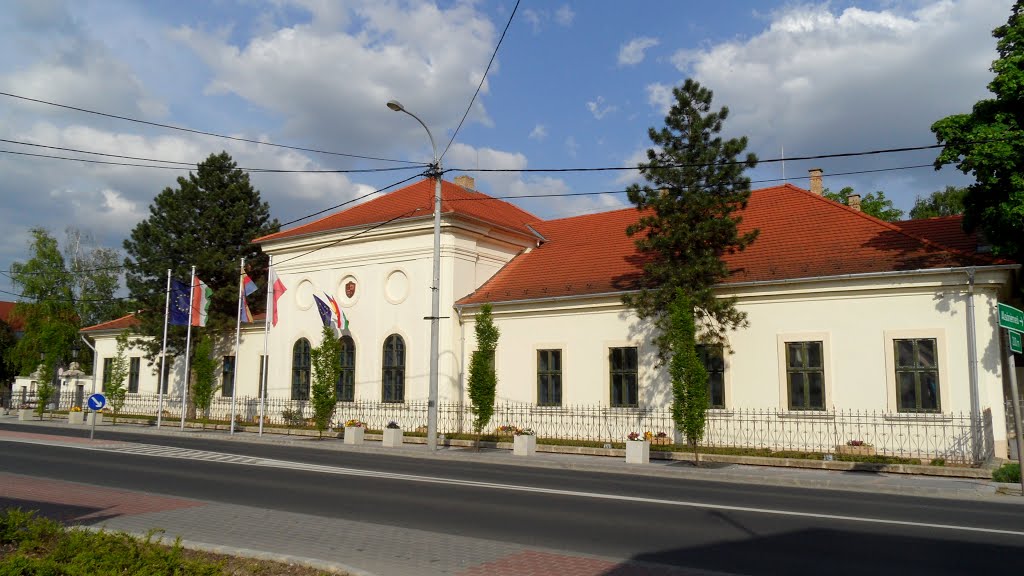 Dunaharaszti, Polgármesteri Hivatal - City Hall by lorant.orban