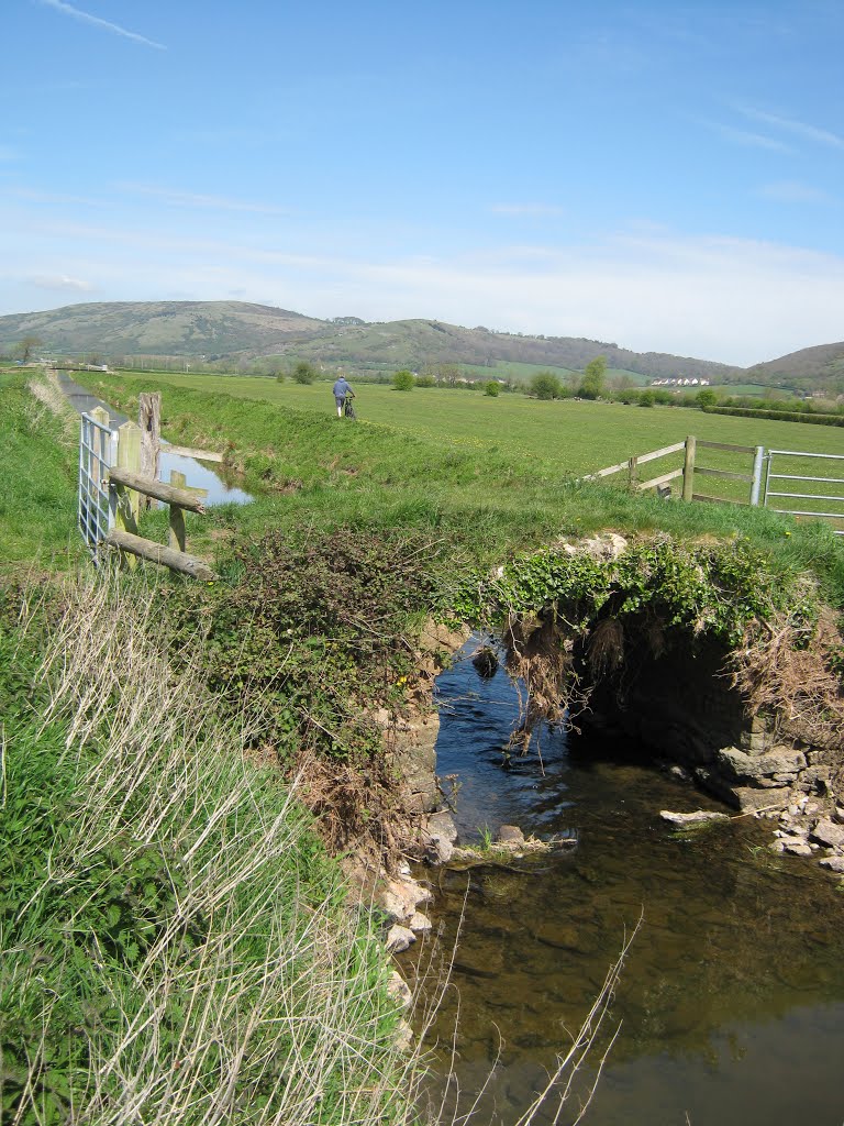 Bridge over River Axe. by Bob&Anne Powell