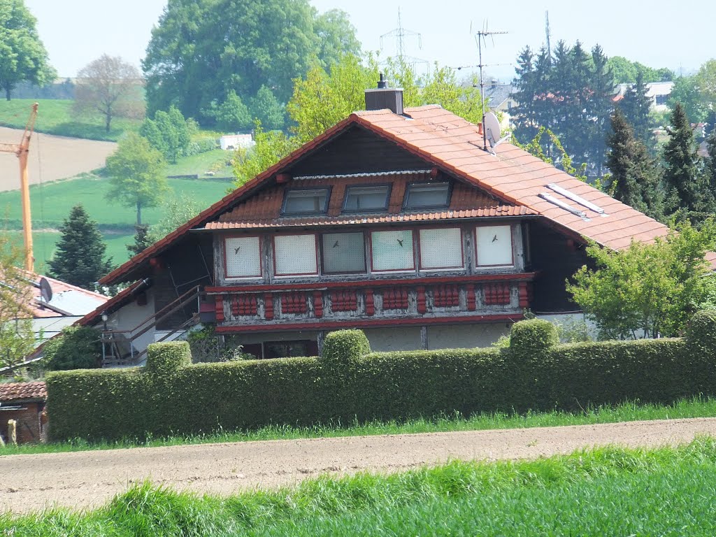 Mausihaus im Sonnenschein by arnelang