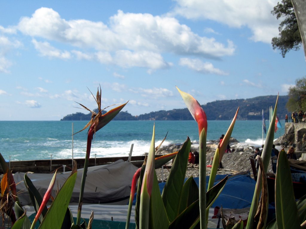 Il Monte di Portofino dalla spiaggia di Zoagli by Fabio732