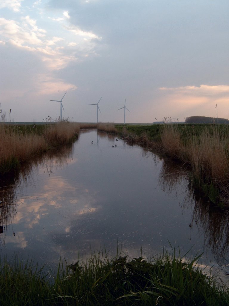 Windmolens Nieuwe-Tonge by Leo IJzelenberg