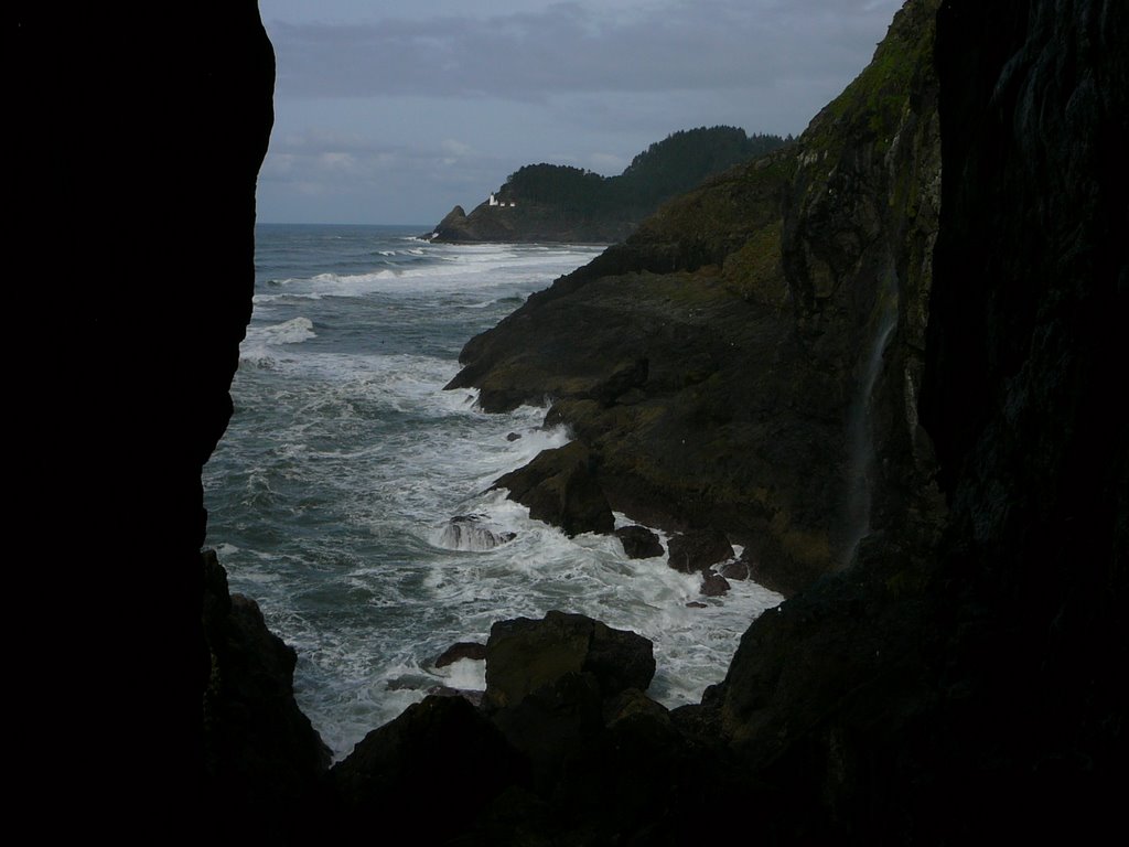 Heceta Lighthouse from Sea Lion Caves by nabyn