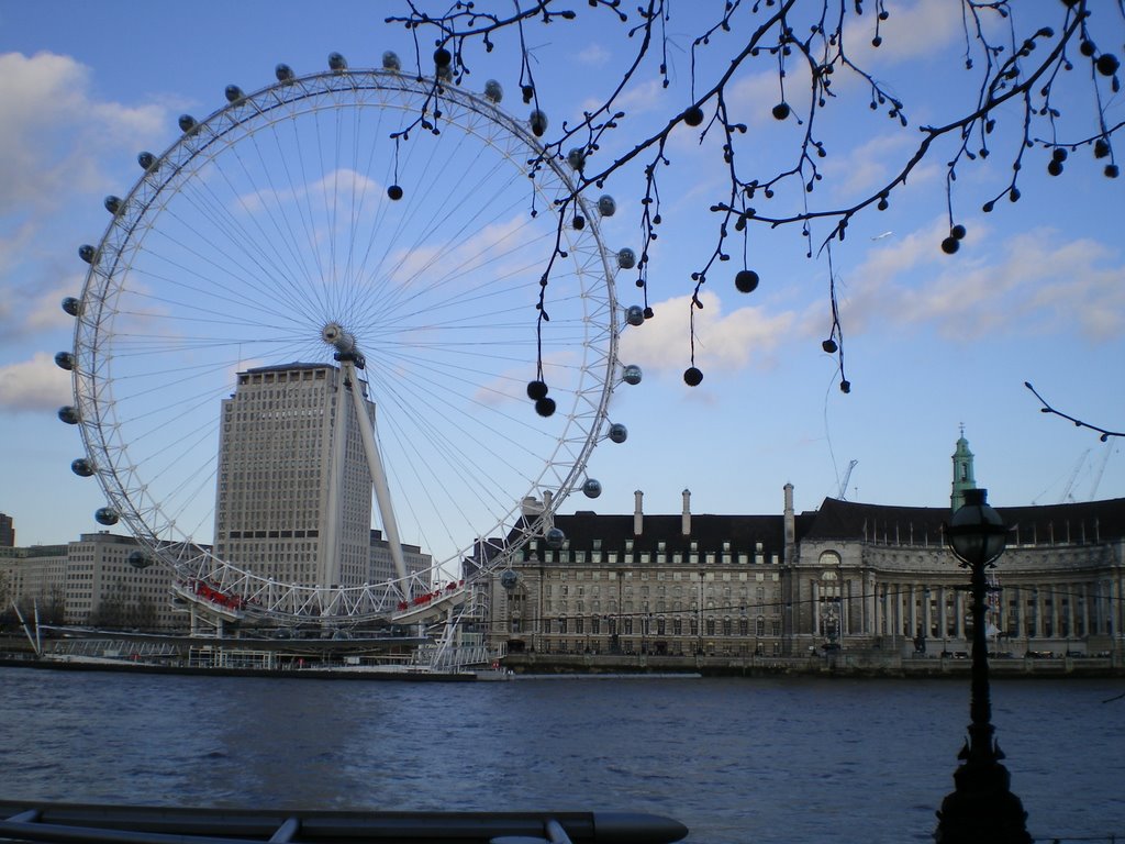 London Eye, Shell Building & Aquarium (County Hall) by Leonardo Parada