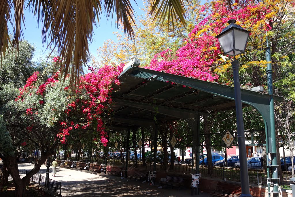 Buganvillas en los jardines de la antigua estacioneta de Jesús. Valencia. by tejoleto