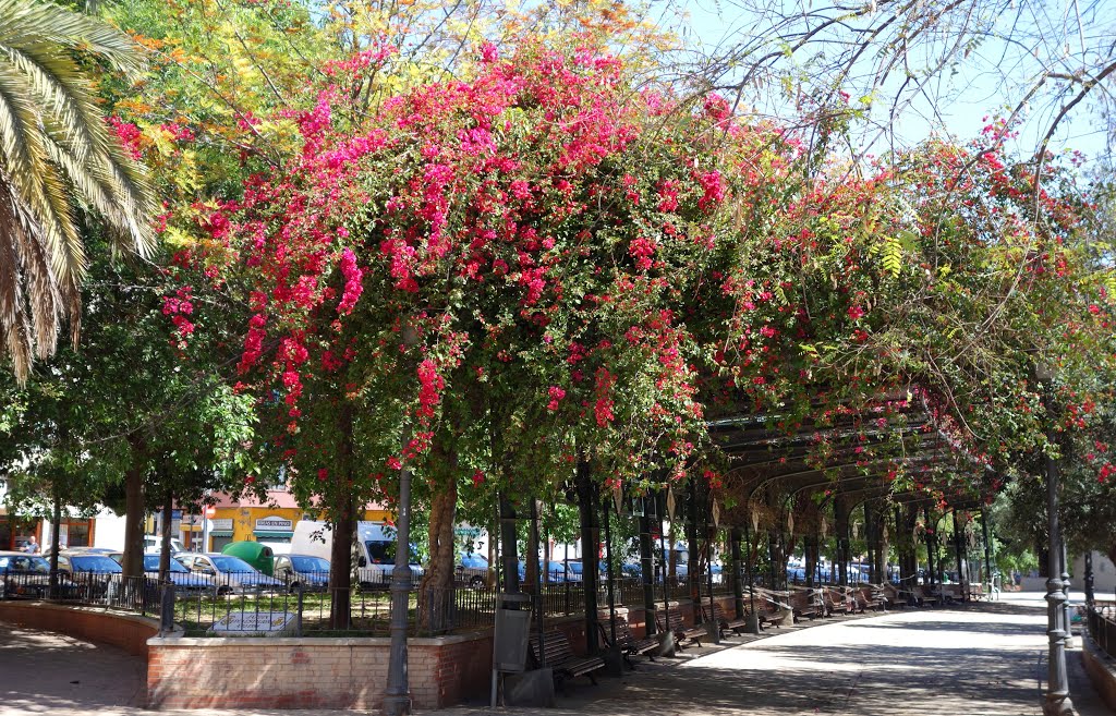 Primavera en la antigua estacioneta de Jesús. by tejoleto