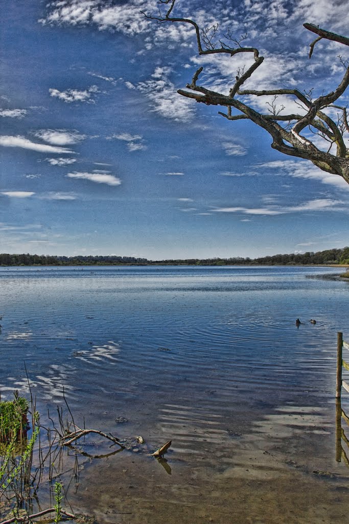 Aqualate Mere Staffordshire by Megapixles Photography By Jason Garton