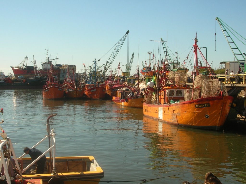 Puerto de Mar Del Plata by Javier Suden