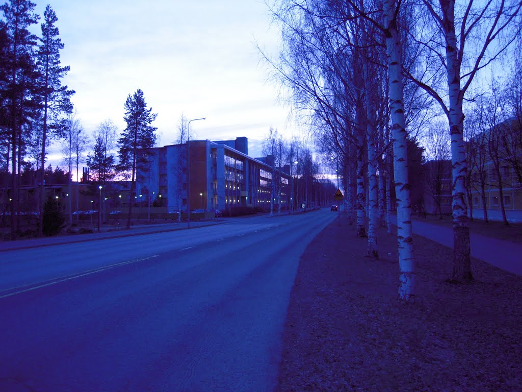 Yliopistokatu in twilight by Kalle August