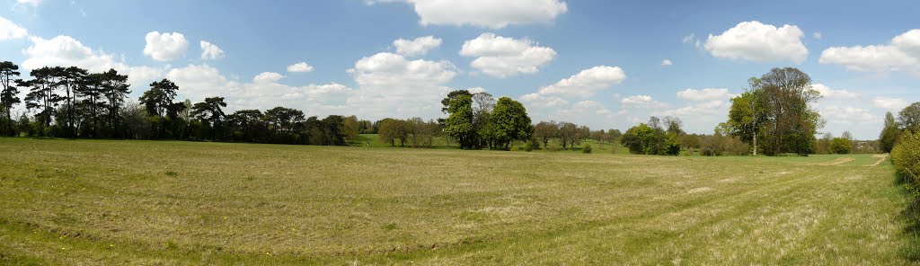 Rothamsted Park from the bridle path (May 2013) by Keith Davies