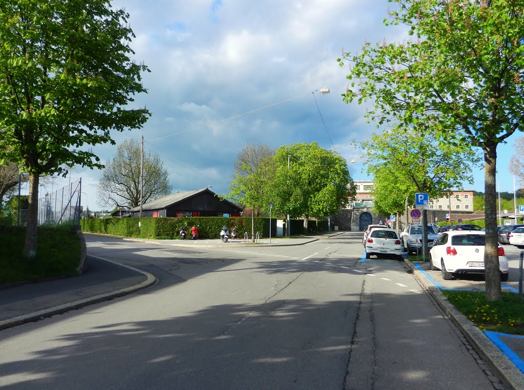 Lausanne, Chemin du Bois-Gentil by dr.monnet