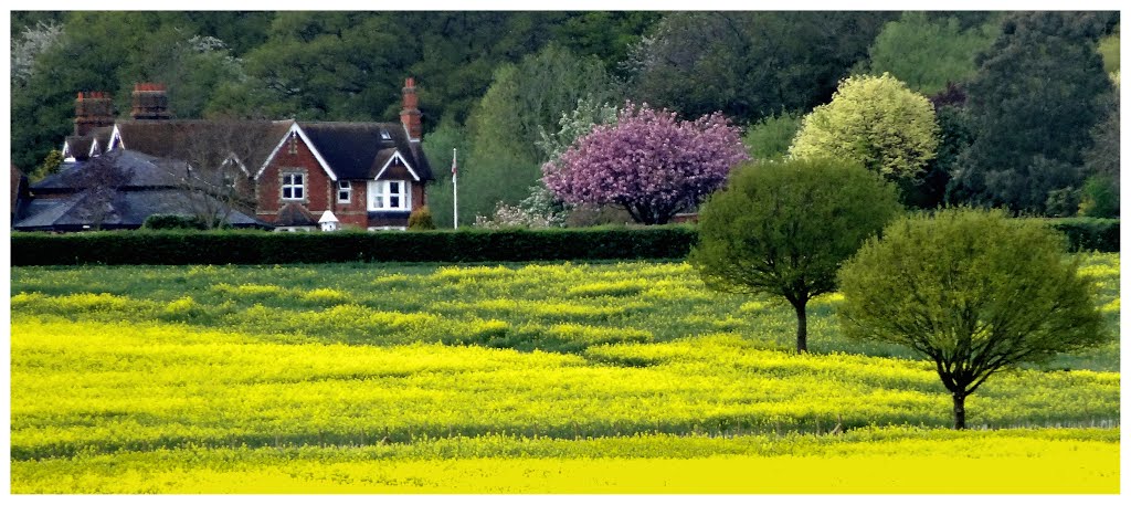 Towards Cookham by thodgson