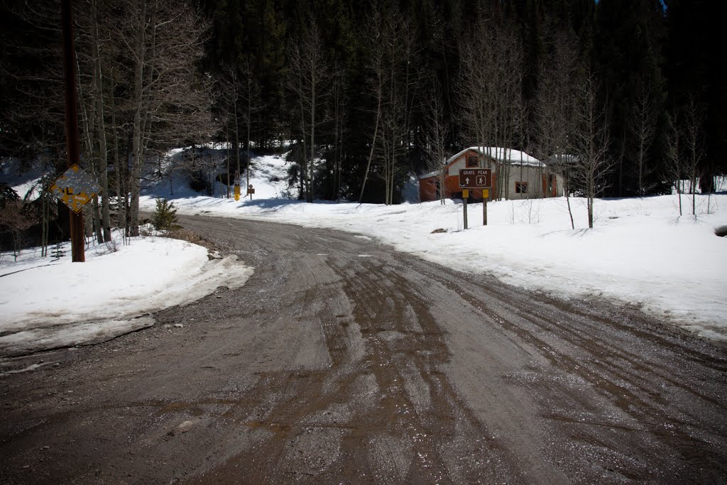 Stevens Gulch Road by Mike Bond