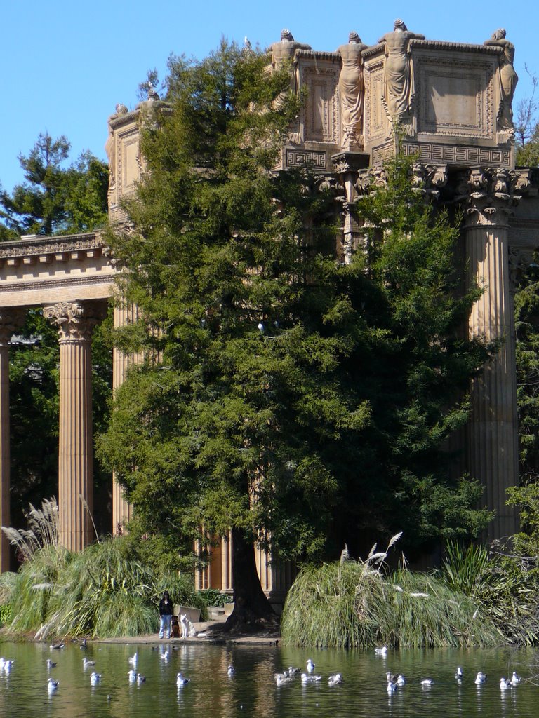 Palace of Fine Arts by nabyn