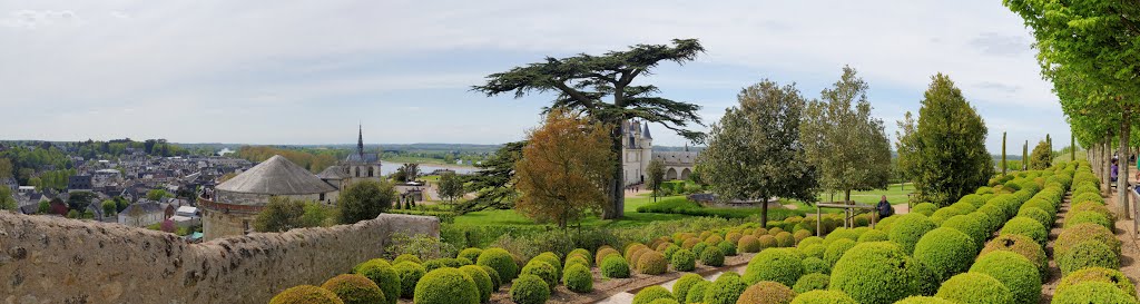 Château d'Amboise garden by BritPlom