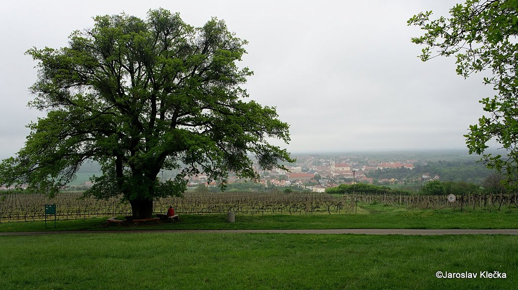 View on Valtice from Reitsna by Jarda1943