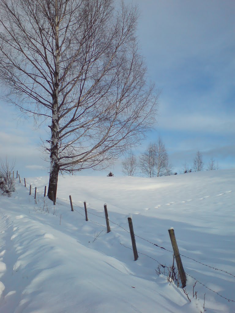 Ånesruddalen, Nannestad by Inkhuldra