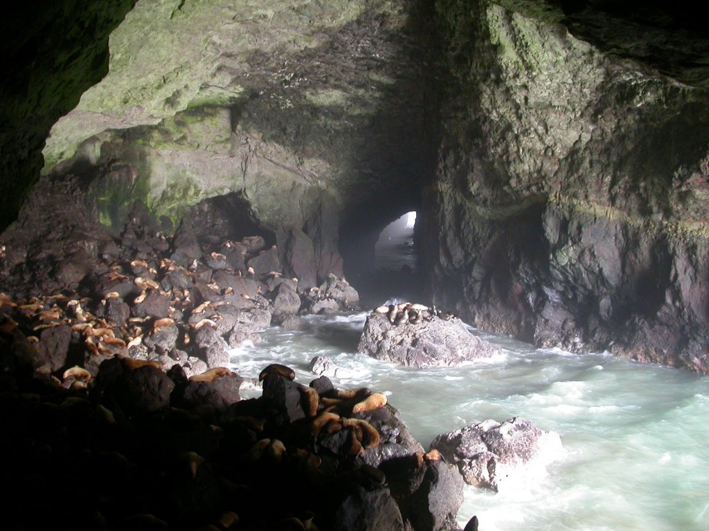 The Sea Lion caves. From here you can see the other entrance. by Abbernomad