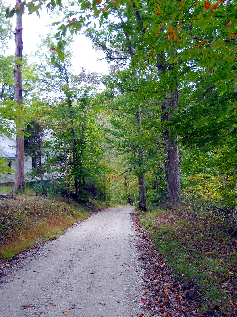 Road beside Elk Fork Church by maverick_79