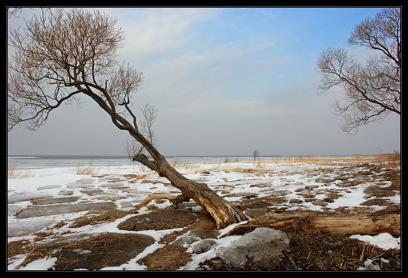 Alexandria park. Finnish Bay by Synoptic