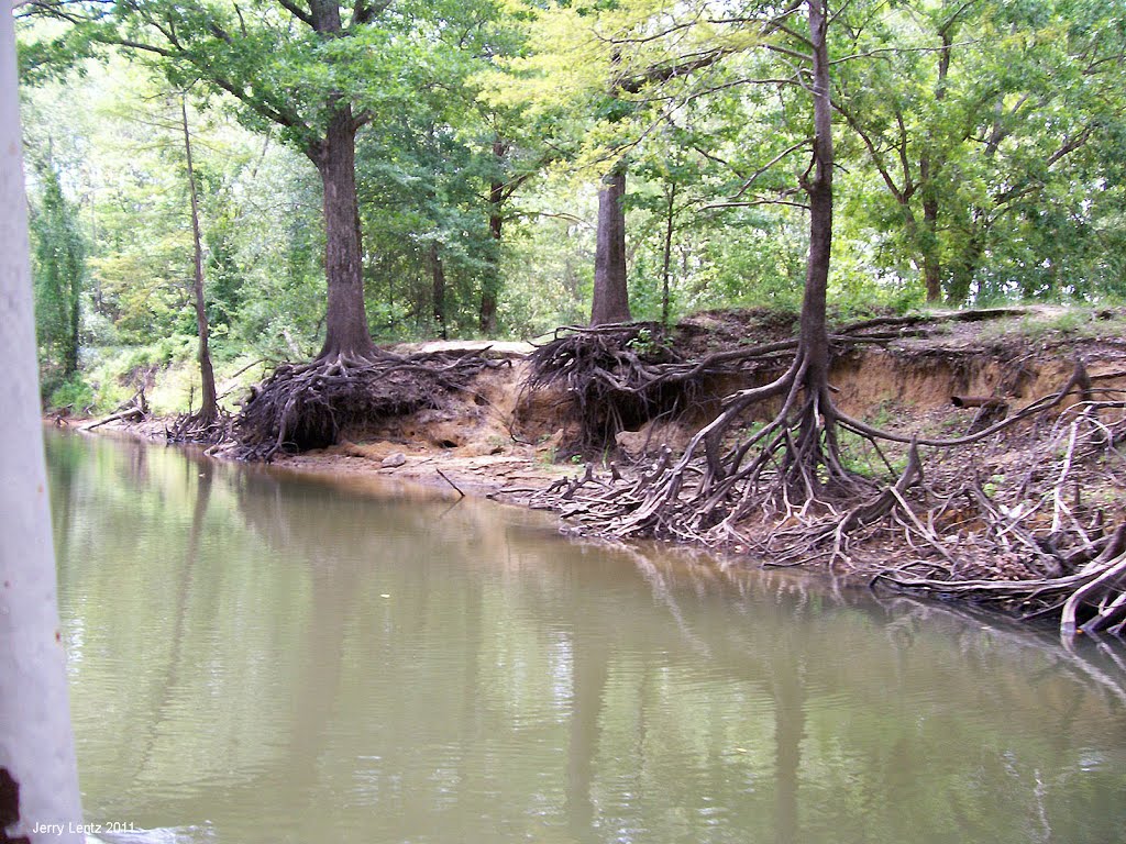 Big Cypress Bayou outside Jefferson, TX by Jerry Lentz