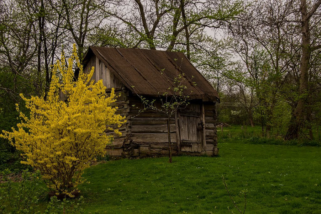 Tarnogród by tadeusz dziedzina©