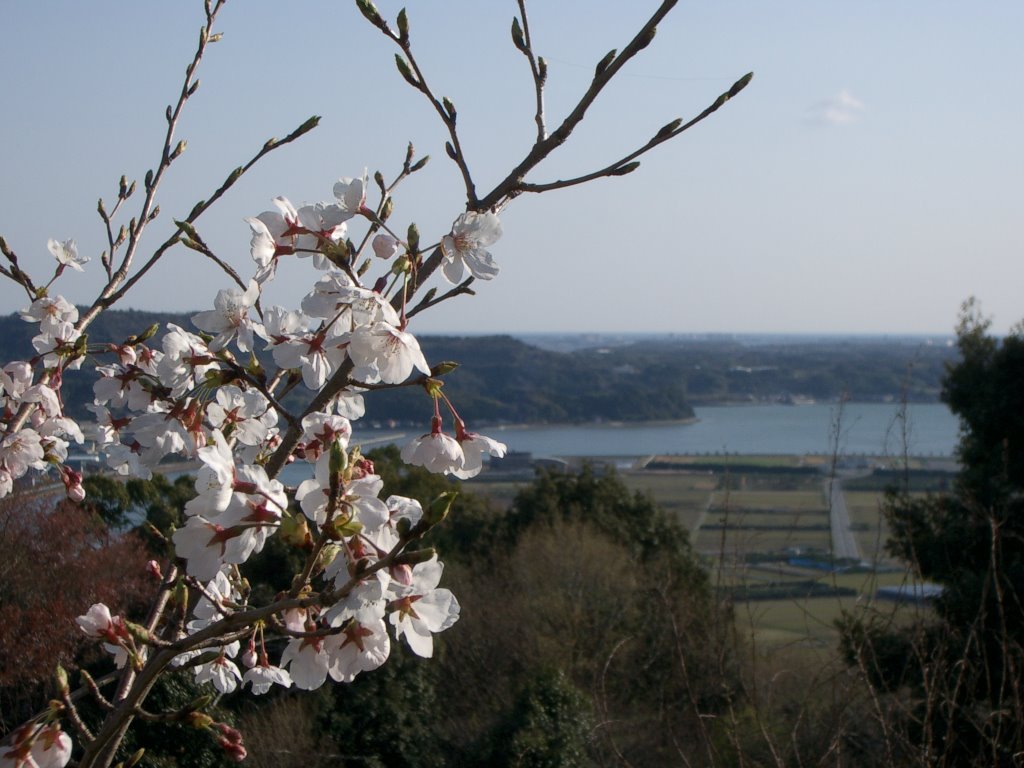 Miyakoda River and Lake Hamana 都田川と浜名湖 by jun yossy