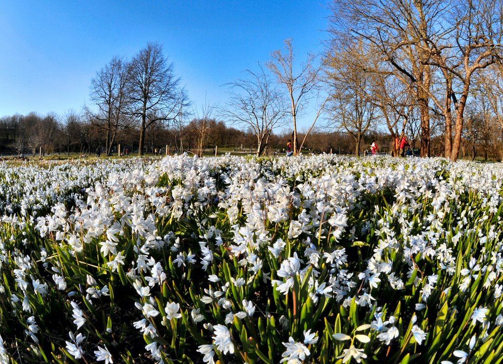 München, Frühling im Westpark 2 by Klaus Rommel