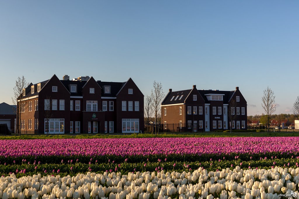 Zuidelijke Randweg, Middelharnis by © BraCom (Bram)