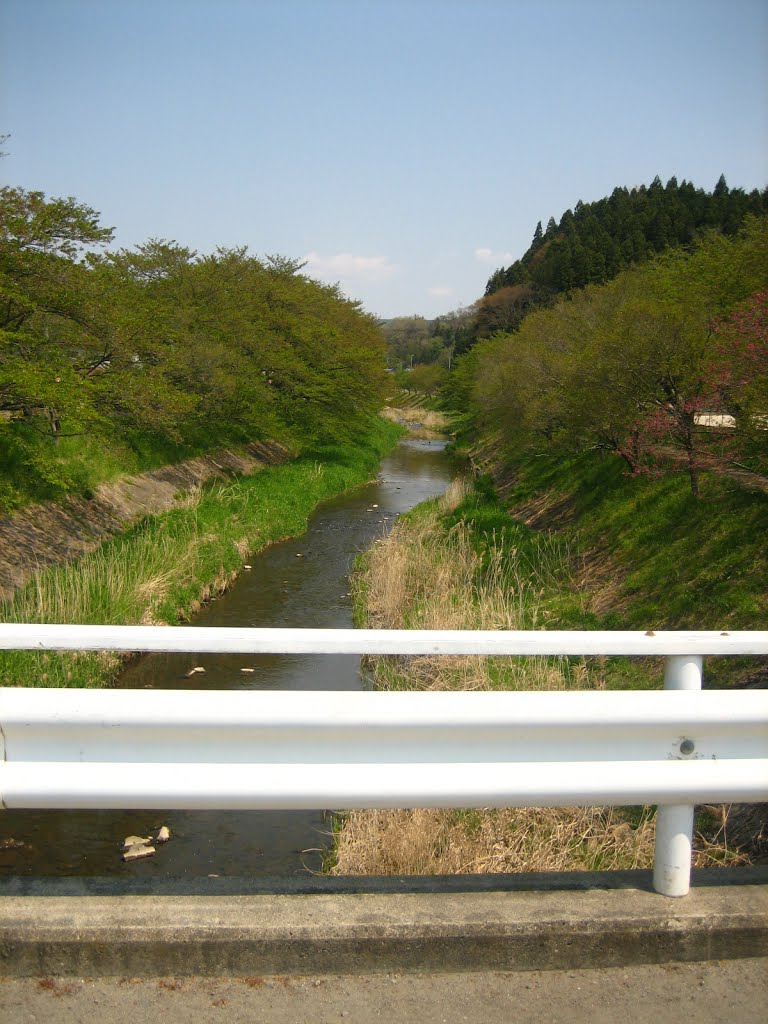 River and tender green, upstream by addh Save Panoramio