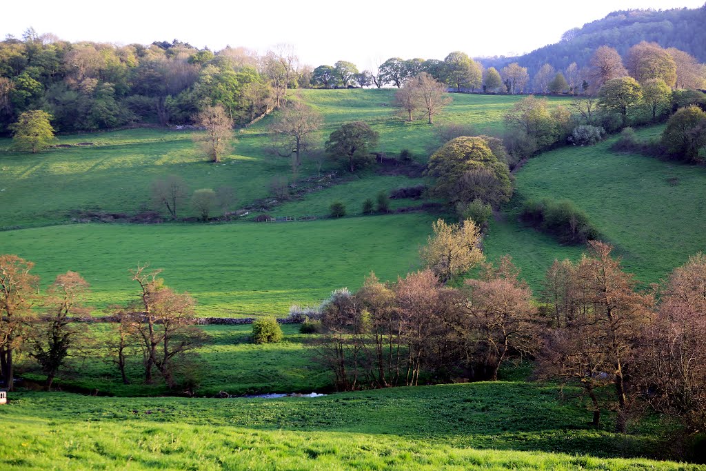 Springtime in Ashover by David Carr